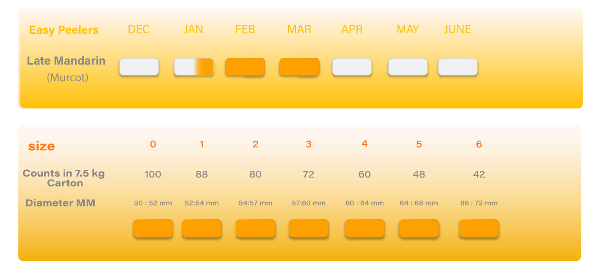Late Mandarin Murcot Seasonality
